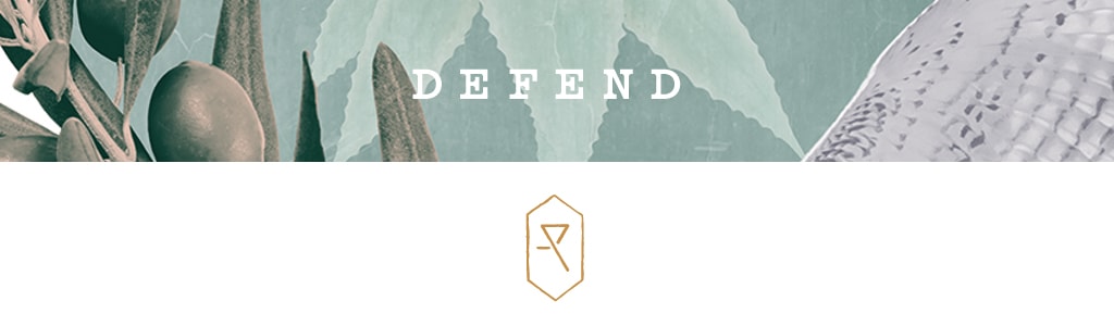 defend-banner