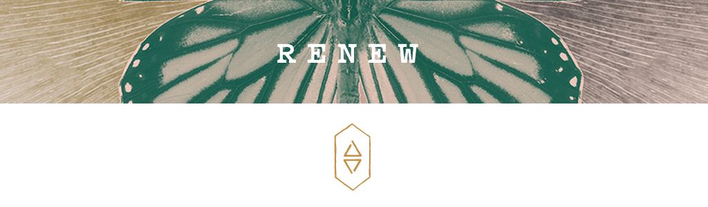 renew-banner