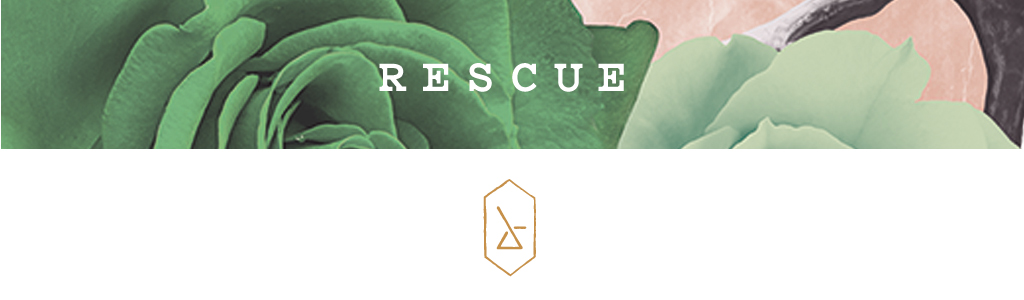 rescue-banner