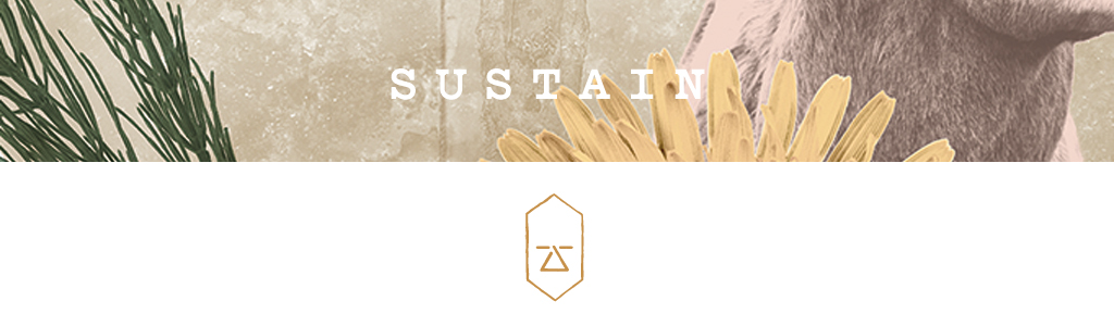 sustain-banner